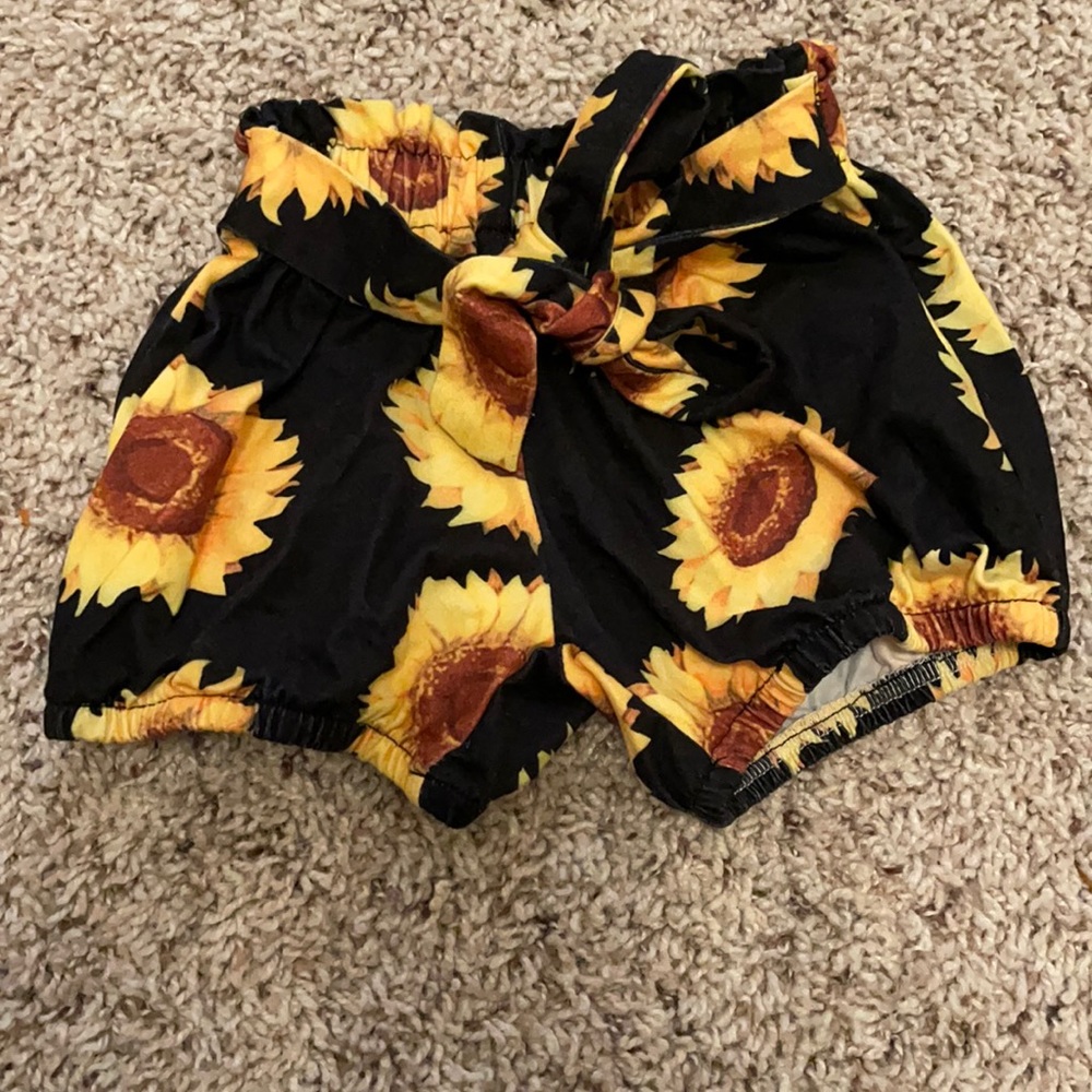 Sunflower bottoms